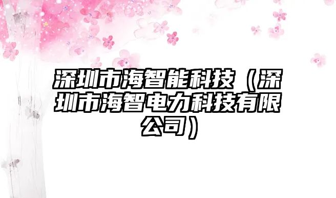 深圳市海智能科技（深圳市海智電力科技有限公司）