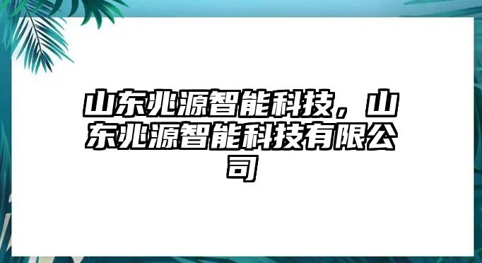 山東兆源智能科技，山東兆源智能科技有限公司