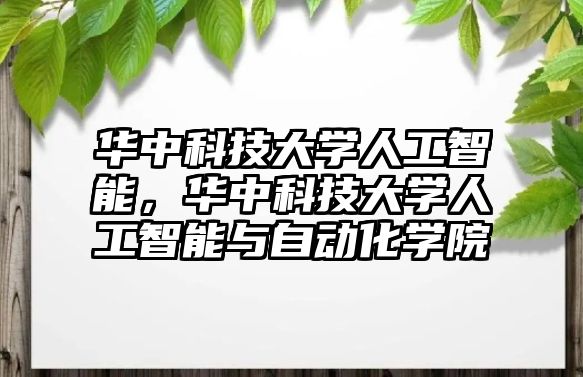 華中科技大學人工智能，華中科技大學人工智能與自動化學院