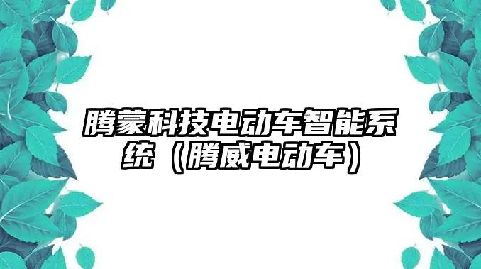騰蒙科技電動車智能系統（騰威電動車）
