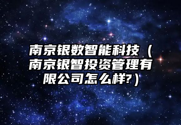 南京銀數智能科技（南京銀智投資管理有限公司怎么樣?）