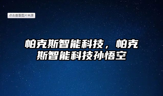 帕克斯智能科技，帕克斯智能科技孫悟空