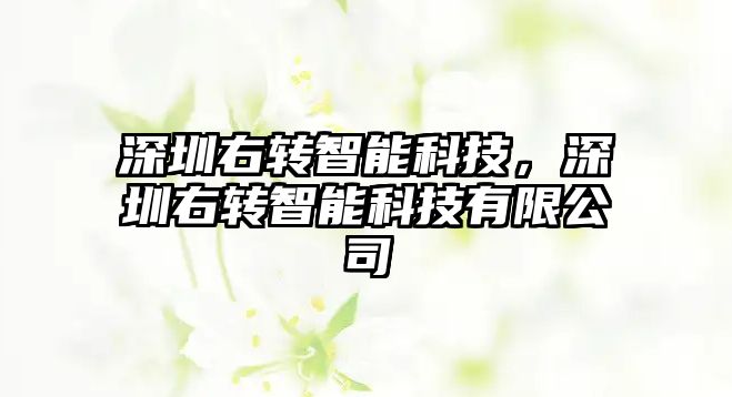 深圳右轉(zhuǎn)智能科技，深圳右轉(zhuǎn)智能科技有限公司