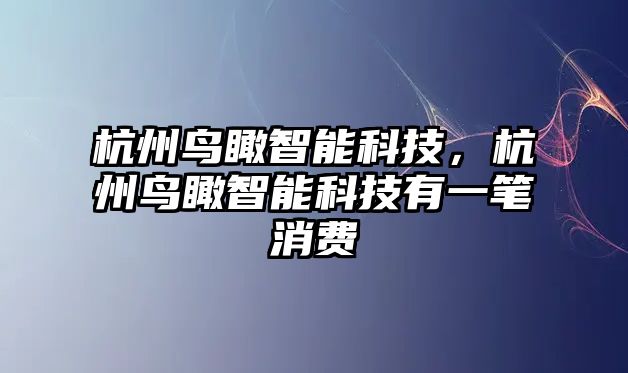 杭州鳥瞰智能科技，杭州鳥瞰智能科技有一筆消費