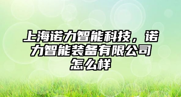 上海諾力智能科技，諾力智能裝備有限公司怎么樣