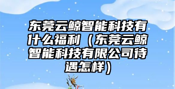 東莞云鯨智能科技有什么福利（東莞云鯨智能科技有限公司待遇怎樣）