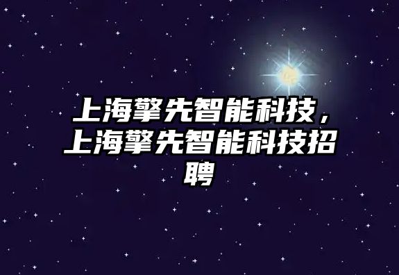 上海擎先智能科技，上海擎先智能科技招聘