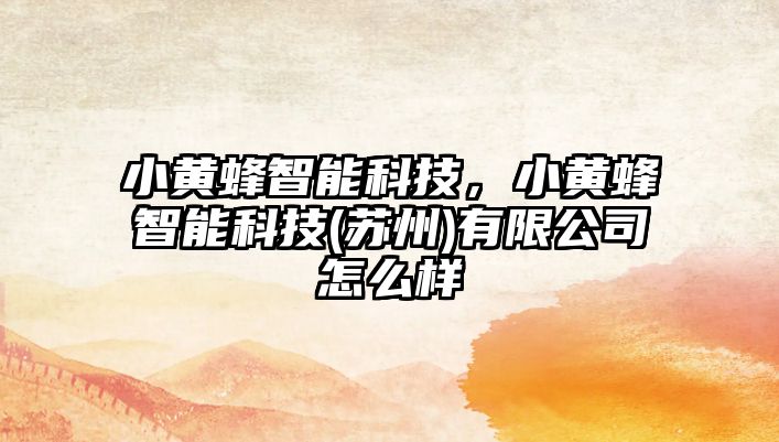 小黃蜂智能科技，小黃蜂智能科技(蘇州)有限公司怎么樣