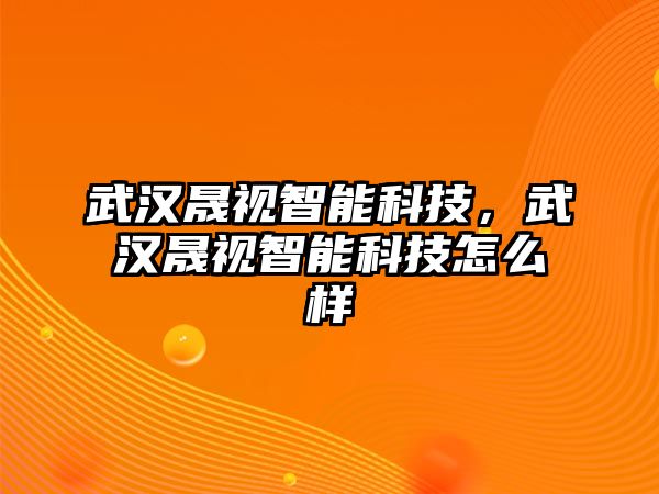 武漢晟視智能科技，武漢晟視智能科技怎么樣