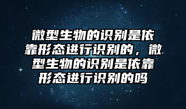 微型生物的識(shí)別是依靠形態(tài)進(jìn)行識(shí)別的，微型生物的識(shí)別是依靠形態(tài)進(jìn)行識(shí)別的嗎