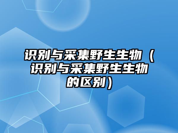 識(shí)別與采集野生生物（識(shí)別與采集野生生物的區(qū)別）