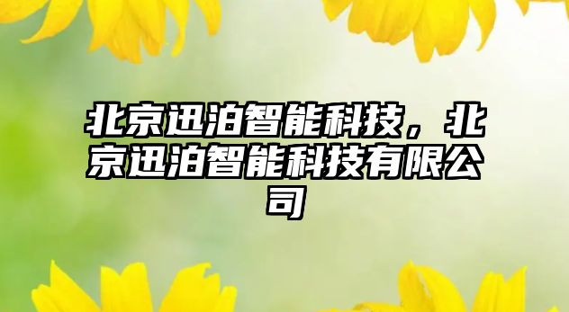 北京迅泊智能科技，北京迅泊智能科技有限公司