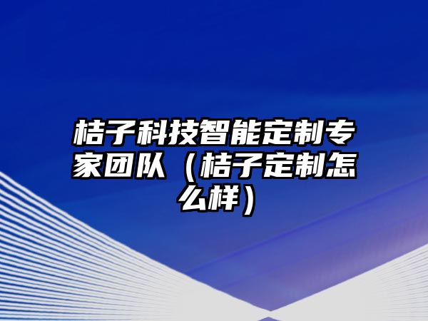 桔子科技智能定制專家團隊（桔子定制怎么樣）