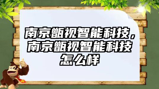 南京甑視智能科技，南京甑視智能科技怎么樣