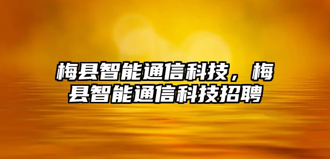 梅縣智能通信科技，梅縣智能通信科技招聘