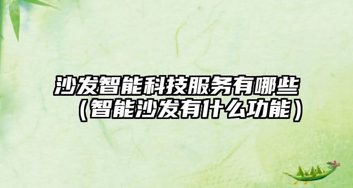 沙發(fā)智能科技服務(wù)有哪些（智能沙發(fā)有什么功能）