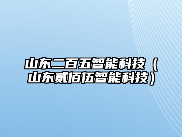 山東二百五智能科技（山東貳佰伍智能科技）