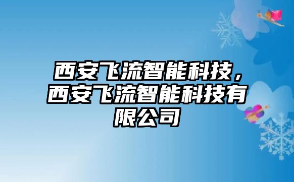 西安飛流智能科技，西安飛流智能科技有限公司