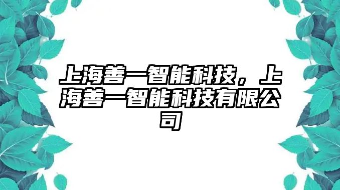 上海善一智能科技，上海善一智能科技有限公司