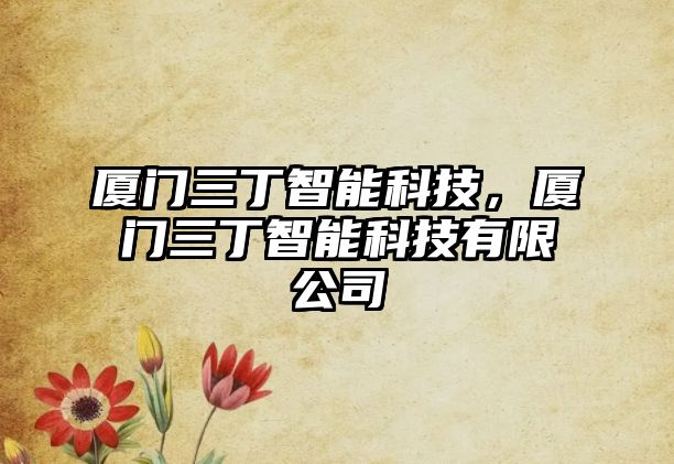 廈門三丁智能科技，廈門三丁智能科技有限公司