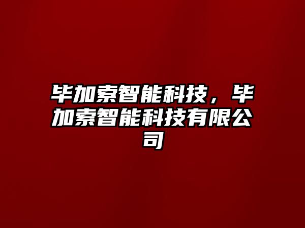 畢加索智能科技，畢加索智能科技有限公司