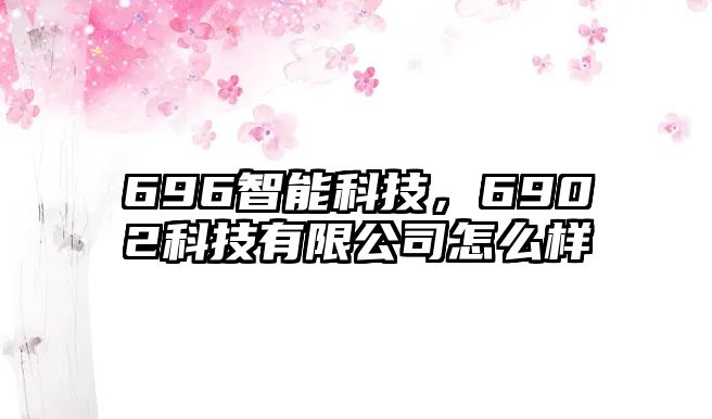 696智能科技，6902科技有限公司怎么樣