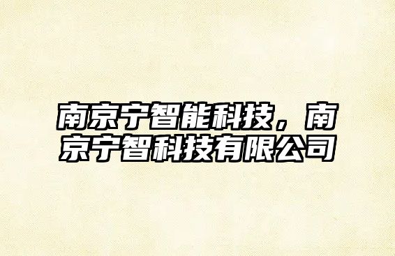 南京寧智能科技，南京寧智科技有限公司