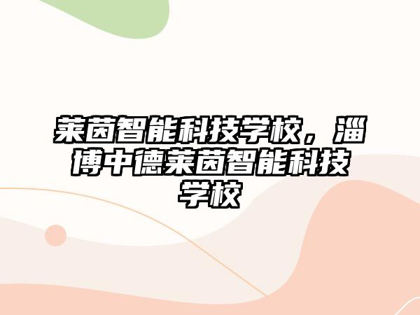 萊茵智能科技學(xué)校，淄博中德萊茵智能科技學(xué)校