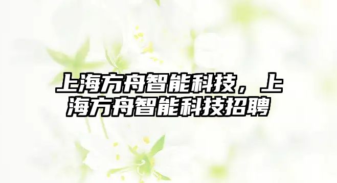 上海方舟智能科技，上海方舟智能科技招聘