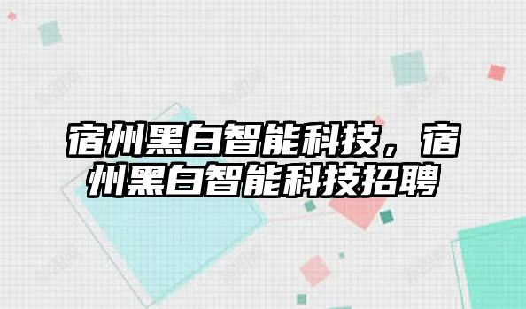 宿州黑白智能科技，宿州黑白智能科技招聘