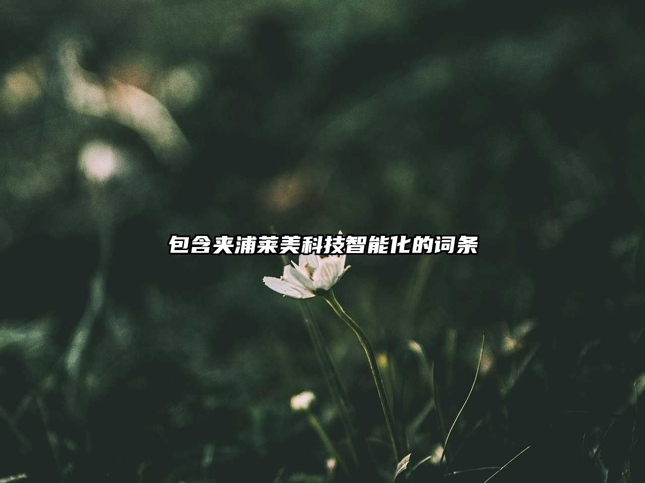 包含夾浦萊美科技智能化的詞條