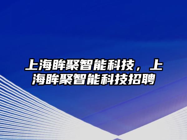 上海眸聚智能科技，上海眸聚智能科技招聘