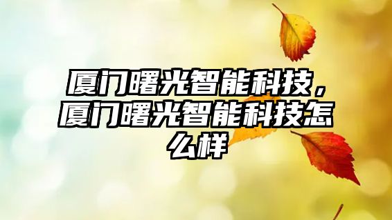 廈門曙光智能科技，廈門曙光智能科技怎么樣