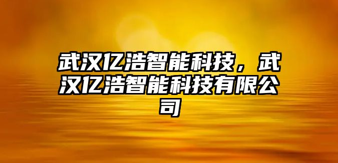 武漢億浩智能科技，武漢億浩智能科技有限公司