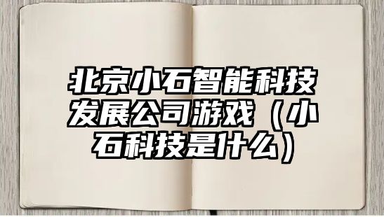 北京小石智能科技發(fā)展公司游戲（小石科技是什么）