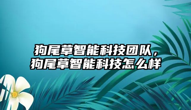 狗尾草智能科技團隊，狗尾草智能科技怎么樣