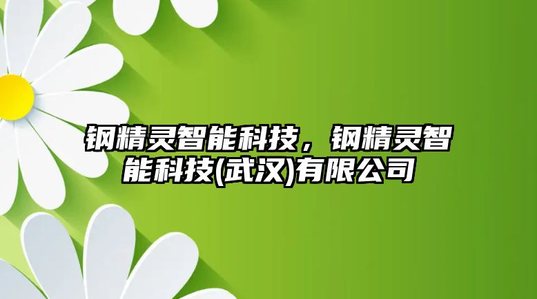 鋼精靈智能科技，鋼精靈智能科技(武漢)有限公司