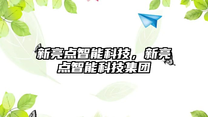 新亮點智能科技，新亮點智能科技集團