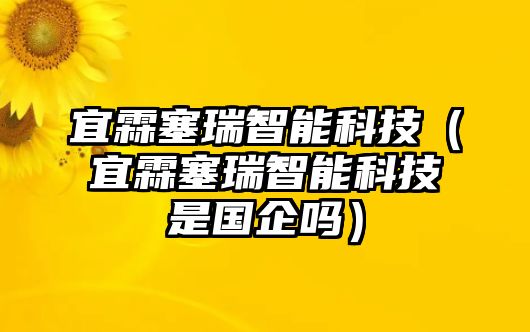 宜霖塞瑞智能科技（宜霖塞瑞智能科技是國企嗎）