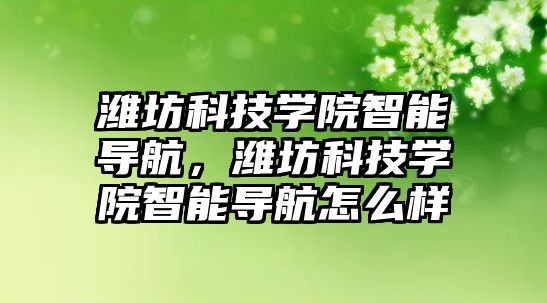 濰坊科技學院智能導航，濰坊科技學院智能導航怎么樣