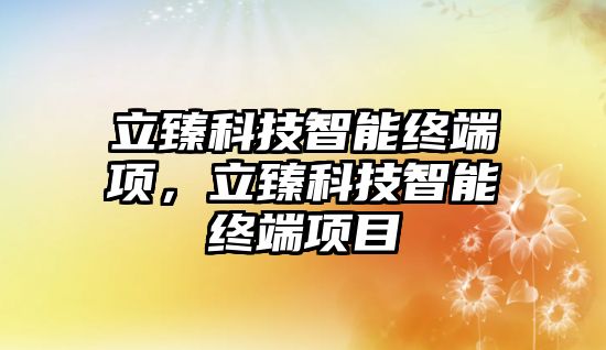 立臻科技智能終端項，立臻科技智能終端項目