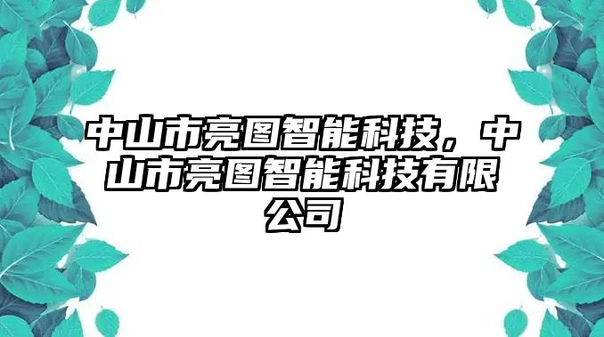 中山市亮圖智能科技，中山市亮圖智能科技有限公司