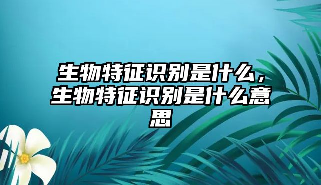 生物特征識別是什么，生物特征識別是什么意思