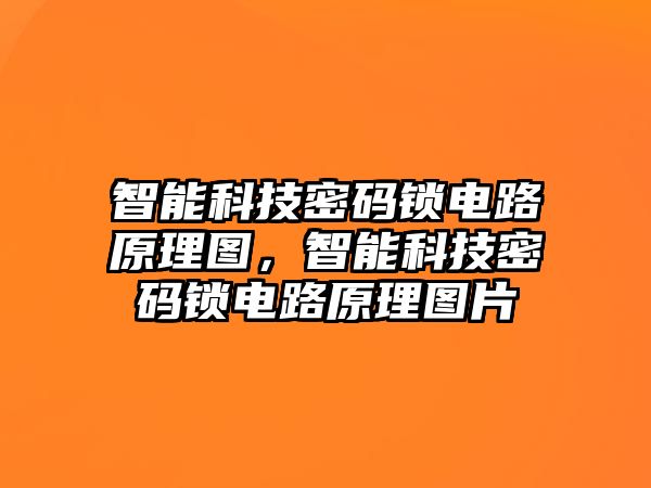 智能科技密碼鎖電路原理圖，智能科技密碼鎖電路原理圖片