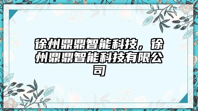 徐州鼎鼎智能科技，徐州鼎鼎智能科技有限公司