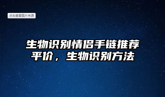 生物識別情侶手鏈推薦平價，生物識別方法