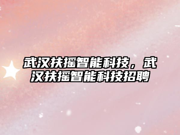 武漢扶搖智能科技，武漢扶搖智能科技招聘