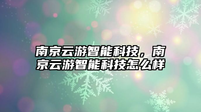 南京云游智能科技，南京云游智能科技怎么樣