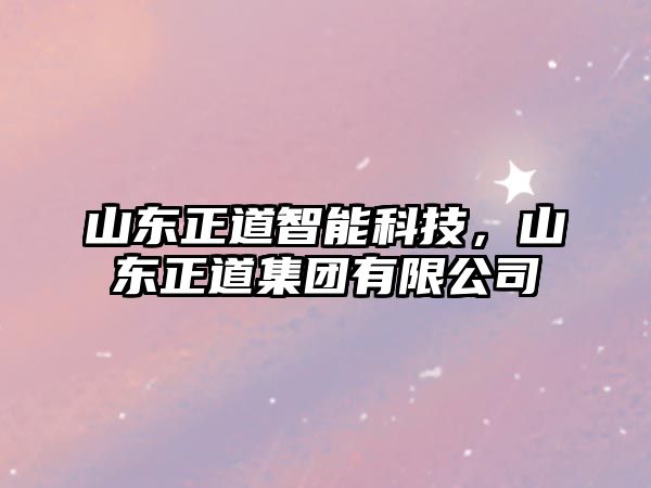 山東正道智能科技，山東正道集團有限公司