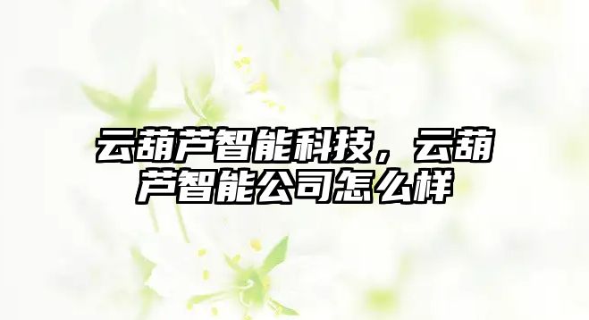 云葫蘆智能科技，云葫蘆智能公司怎么樣